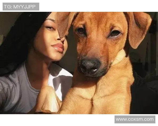 足球明星与爱犬的生活揭秘:他们如何选择和照顾自己的狗狗 足球明星与爱犬的生活揭秘:他们如何选择和照顾自己的狗狗