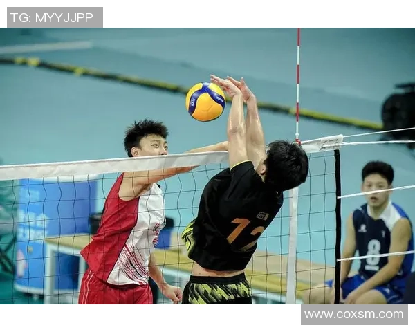 重庆排球队的逆袭之路：从低谷到巅峰的奋斗与荣耀纪实