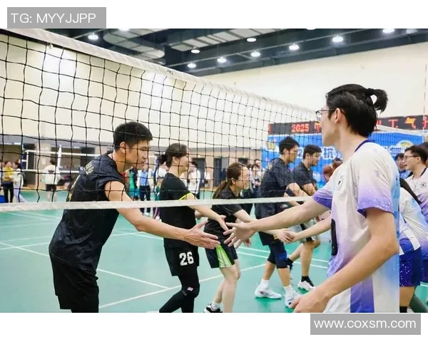 排球深度：解密杭州排球队的运营