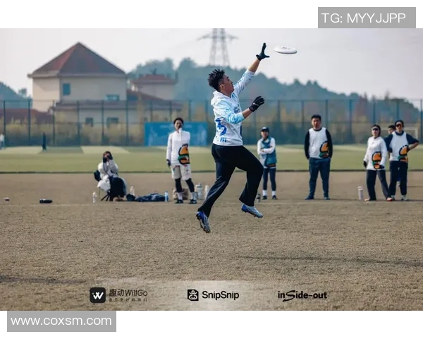 热议飞盘：杭州飞盘队的速度变革