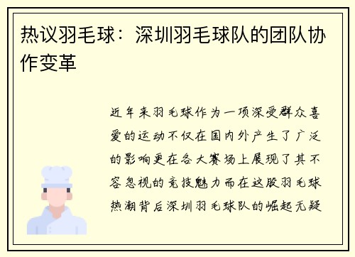 热议羽毛球:深圳羽毛球队的团队协作变革