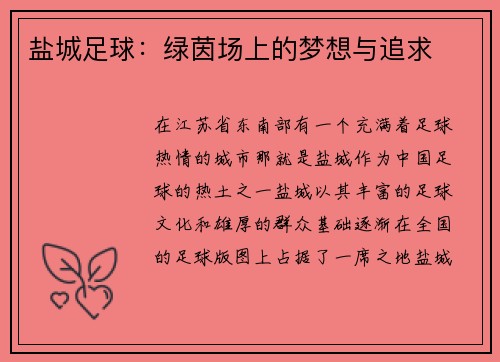 盐城足球:绿茵场上的梦想与追求