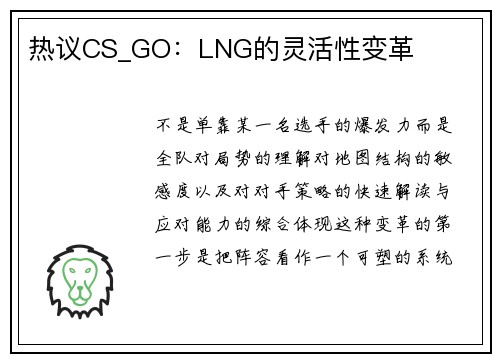 热议CS_GO：LNG的灵活性变革